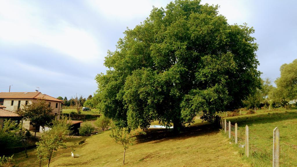 Caserio De Fontes Casa rural Nogueira de Ramuín